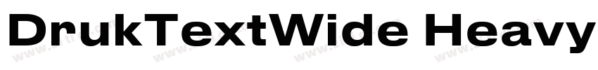 DrukTextWide Heavy字体转换